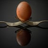 two forks holding a brown egg with reflection
