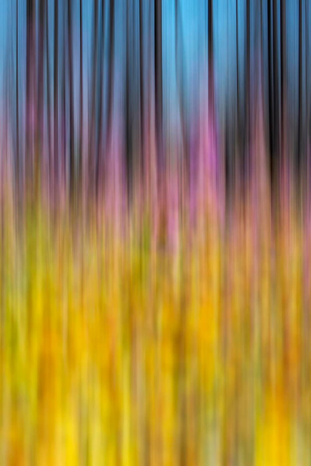 nature abstract of flowers and trees in motion blur