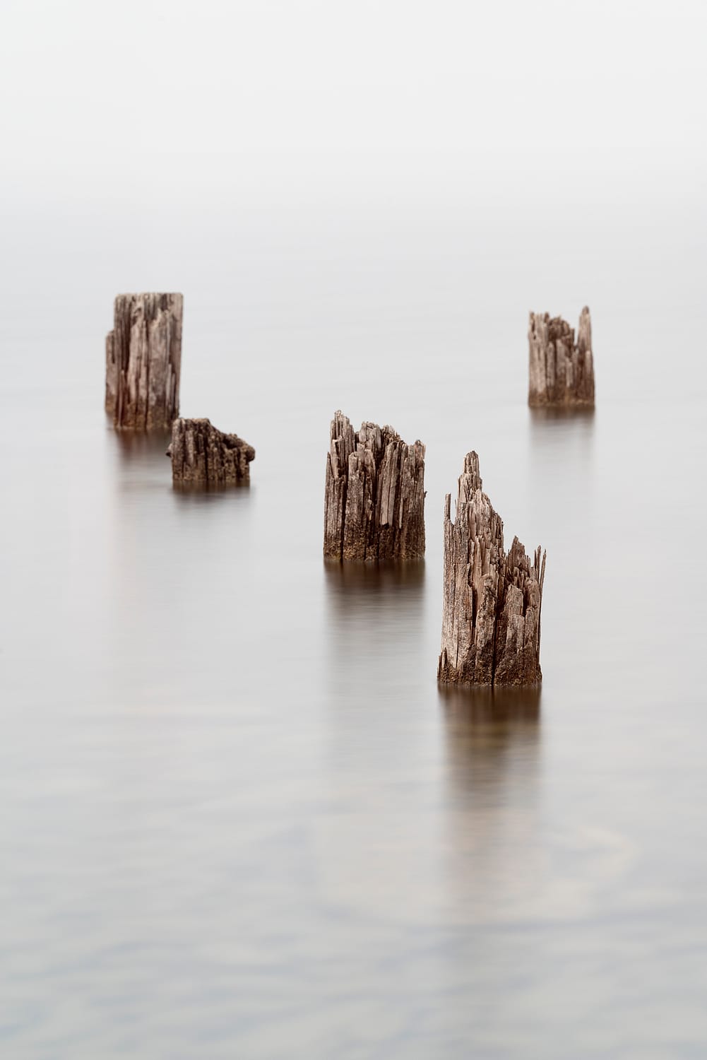 abandoned dock pilings in the fog on a body of water