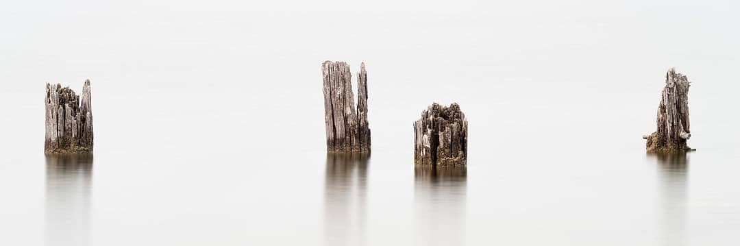 abandoned dock pilings on a foggy lake