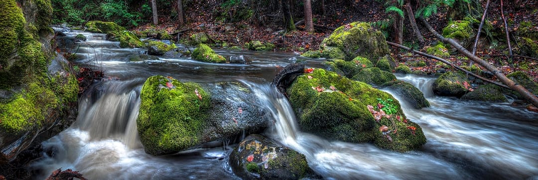 a waterfall over some mossy rocks