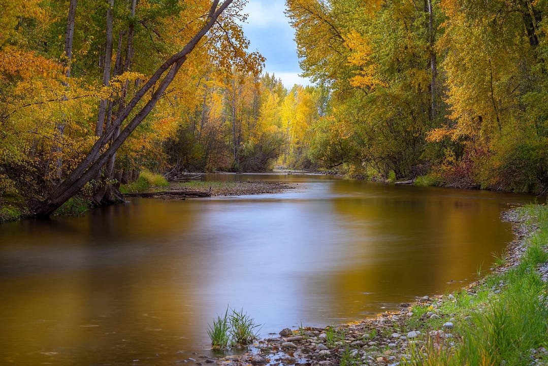 a long exposure photograph of a creek surrounded by fall coloured trees