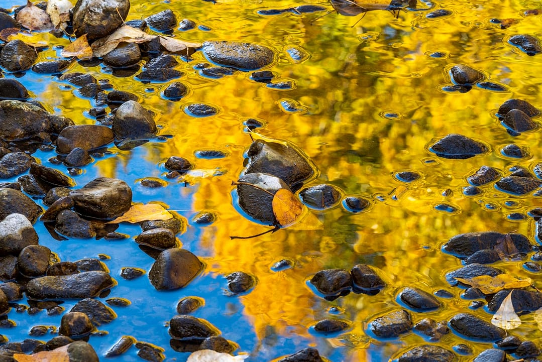 fall reflections in a creek with rocks