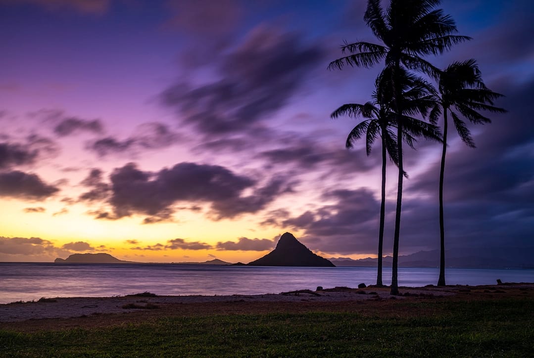 a sunrise looking over an island in Hawaii in the ocean with palm trees in the foreground