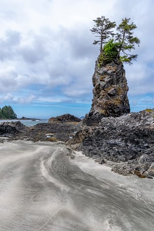 a coastal outcropping of rock with trees and sand
