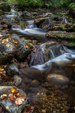 a creek running through a fall forest over rocks