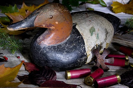 a still life of a vintage duck decoy