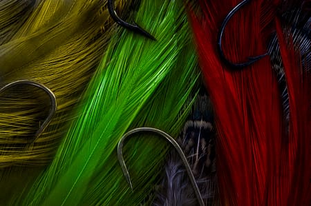 a close up of feathers and hooks used in fly tying