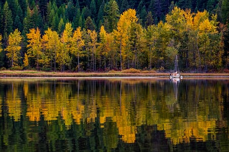 a sailboat reflecting in a lake surrounded by trees