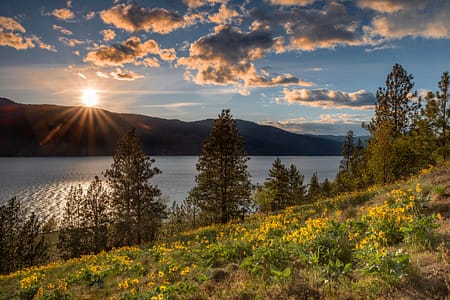 sunset with a hillside of wild flowers overlooking a lake
