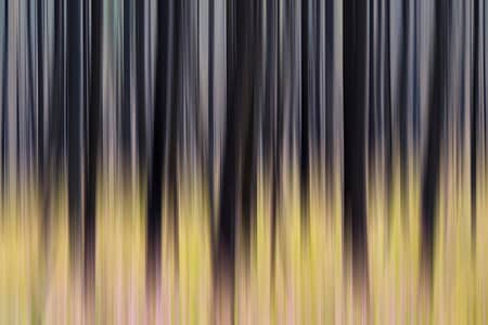 abstract of a forest with flowers