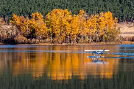 a float plane landing in a lake with fall trees