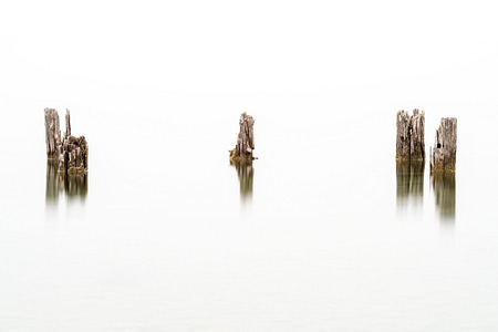 Abandoned dock pilings on a misty lake