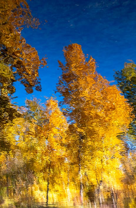 a reflection of a autumn trees on a creek