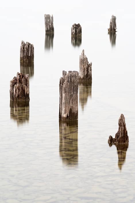 abandoned dock pilings in the fog a body of water