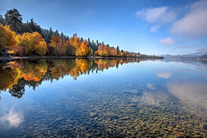 a row of fall coloured trees reflected over a body of water