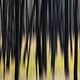 abstract of trees in forest