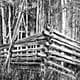 a wooden barn sitting in the middle of a field next to a forest